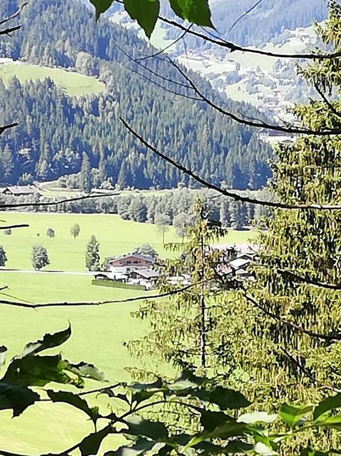 Haus Seppi Hotell Neukirchen am Großvenediger Eksteriør bilde